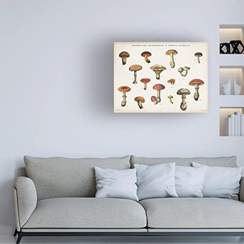 Търговска марка на Fine Art 'Mushroom Графика I Light' Платно-арт от Wild Apple Portfolio