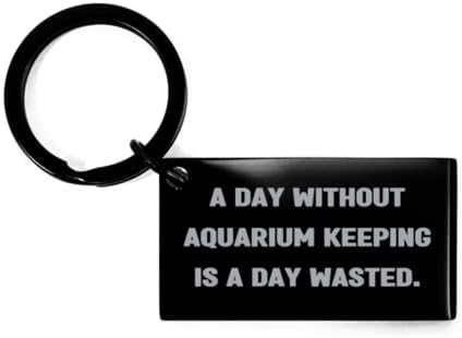 Идеални подаръци за съдържание в аквариума, Ден без съдържание в Аквариума - долар губи ден, Мотивирующий Ключодържател