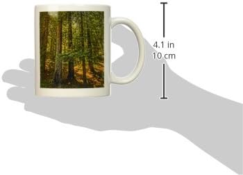 Керамична чаша 3dRose Redwood Tree Grove, 11 грама, Червена