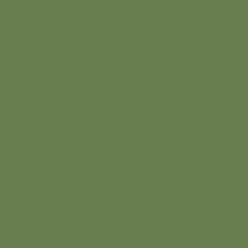 МОДЕЛИ на МИСИЯТА За интериора на САЩ Зелен цвят FS 34151, MIOMMP059