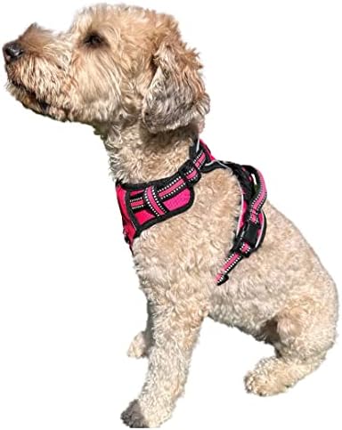 Шлейка за кучета ROOSK | Не простираща, светоотражающая, 4-Посочен Регулируема с държач на торбата за храна