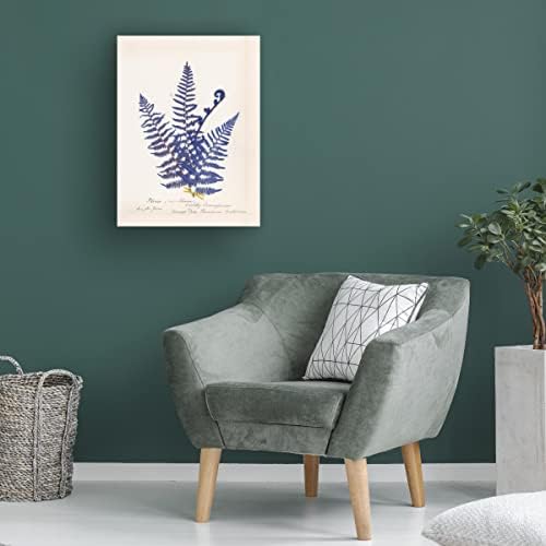 Марката изобразително изкуство Ботаническа папрат IV Blue на платно от Wild Apple Portfolio
