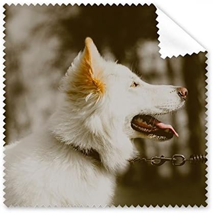 Бяло Куче, Домашен Любимец Снимка Плат За Почистване на Екрана на Телефона за Пречистване на Точки 5шт