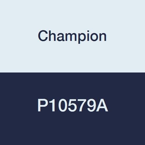 Гъвкав маркуч Champion P10579A 16x 1/2 NPT