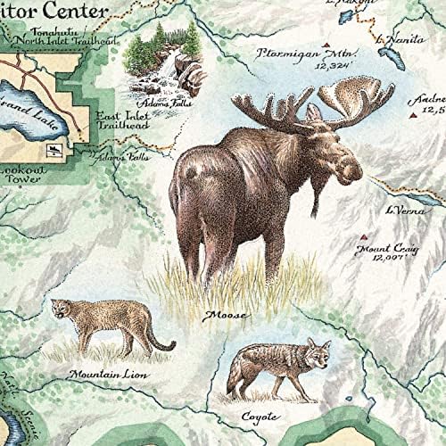 Карта Xplorer Карта на национален парк Скалисти планини Керамична чаша без Бисфенол А - За офиса, дома, за подарък,