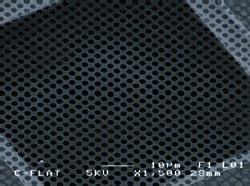 Дырявая въглеродна окото Protochips C-Flat ™ CF-2/1-2C, 200 клетки, Мед, 25/PK