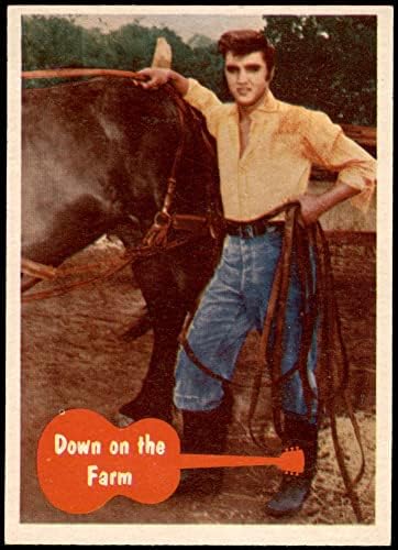 1956 г. Елвис Пресли 14 на стопанството (пощенска картичка) Ню Йорк