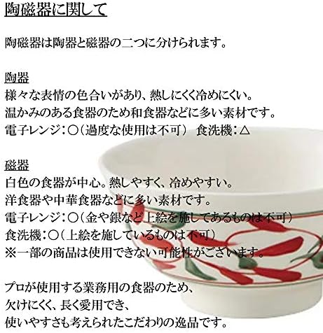 セトモノホンポ(Setomonohonpo) Квадратна Керамична чиния Иватаке, 8.5 х 5,6 х 1,1 инча (21,5 х 14.2 х 2,8 см), Японски